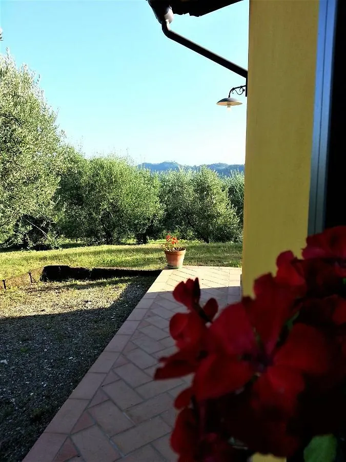 Villa In Campagna Costa Al Bagno Montopoli in Val d'Arno Italy